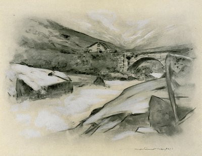 A Mountain Torrent by Mortimer Ludington Menpes